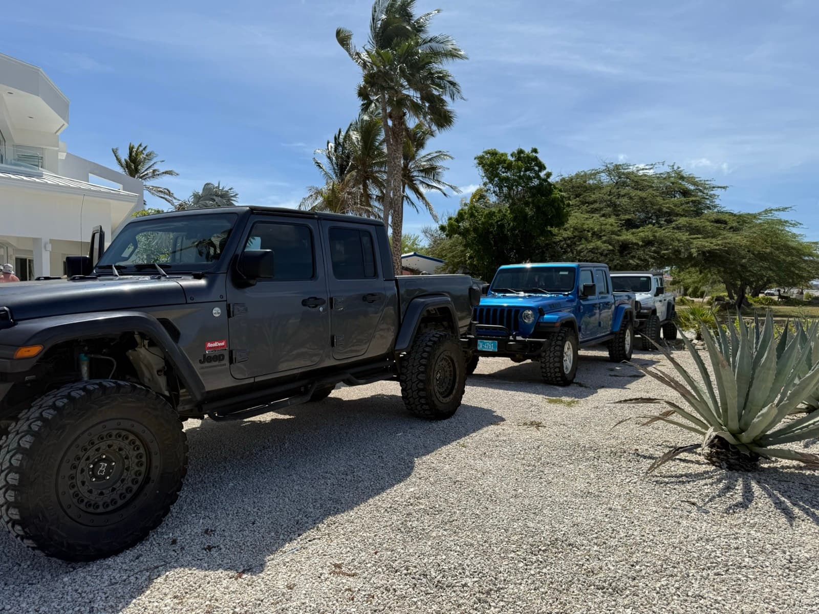 Real Deal vehicles against the Aruba coast