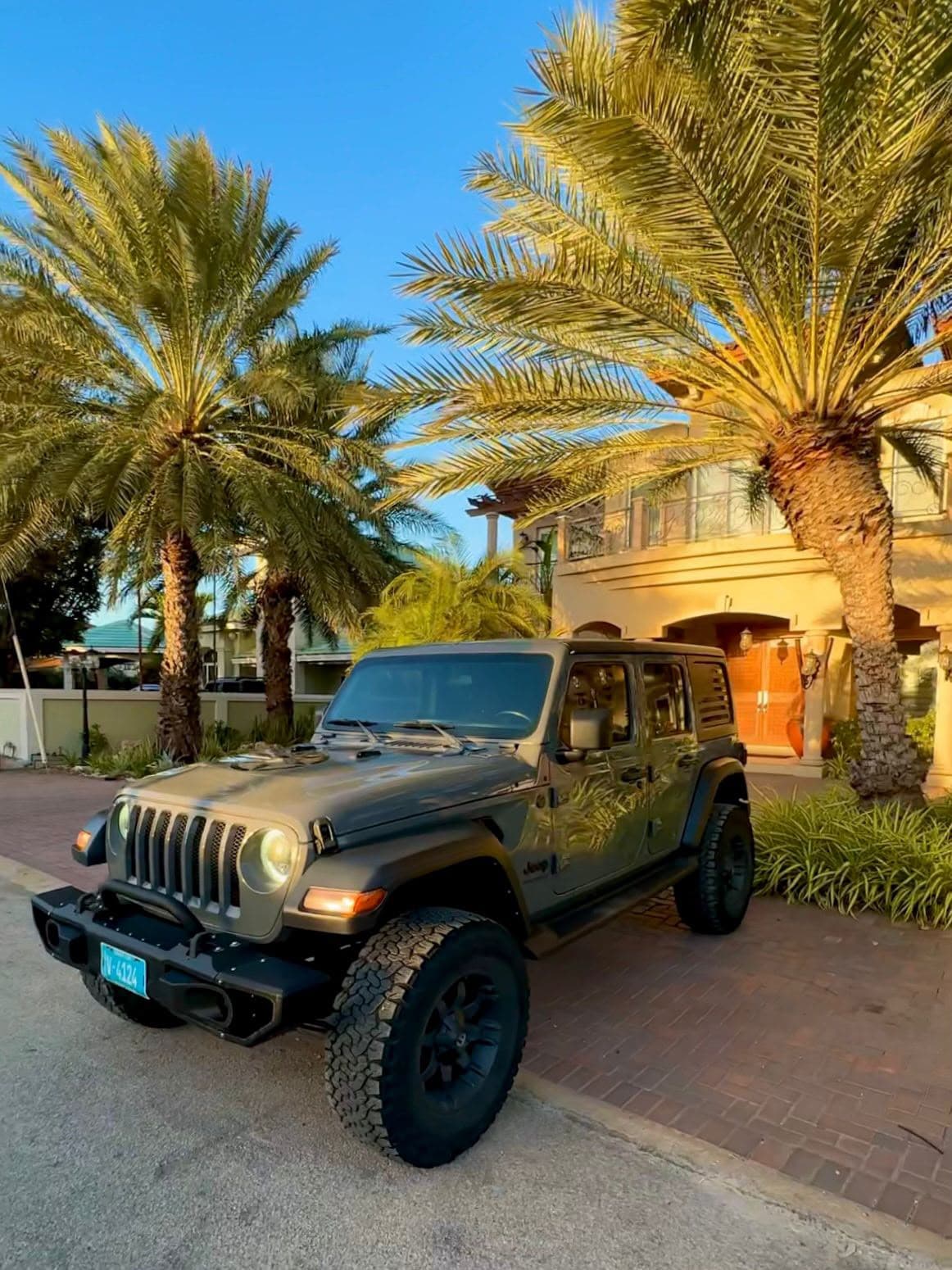 Jeep Wrangler under the palms in the golden hour